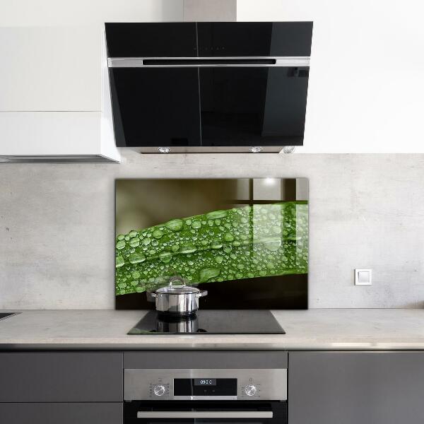 Kitchen wall panels Green leaf after rain