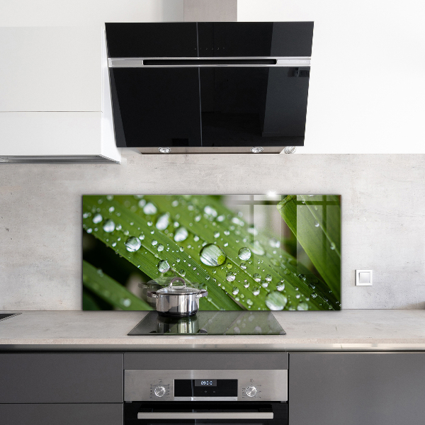 Kitchen wall panels Dew drops on the grass