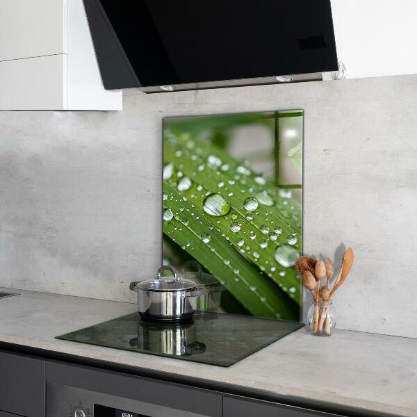 Kitchen wall panels Dew drops on the grass