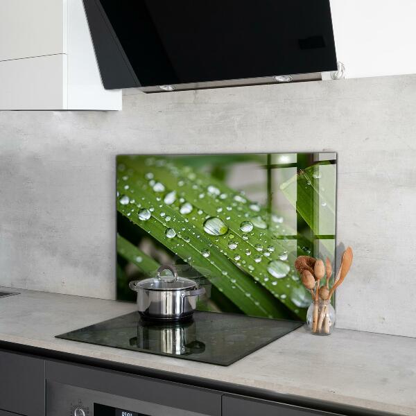 Kitchen wall panels Dew drops on the grass