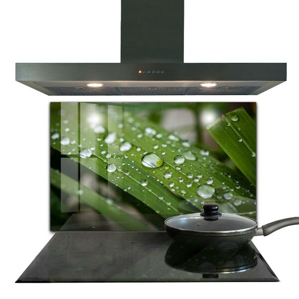 Kitchen wall panels Dew drops on the grass