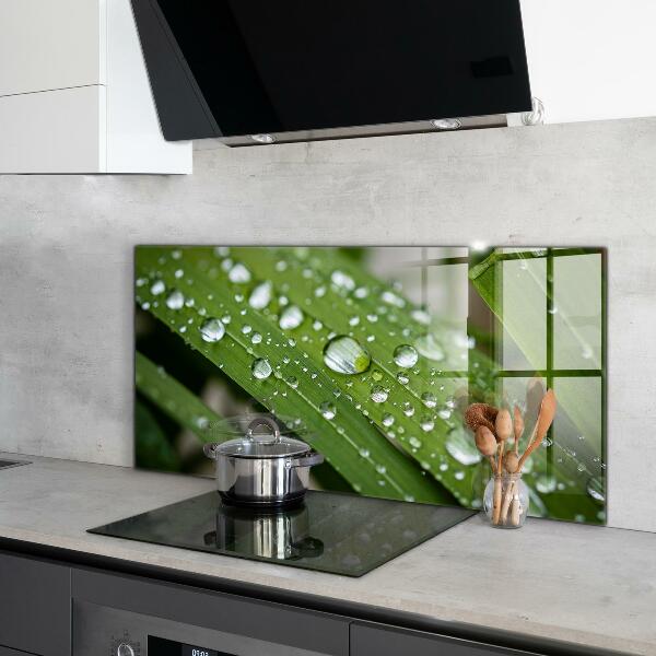 Kitchen wall panels Dew drops on the grass