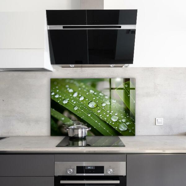 Kitchen wall panels Dew drops on the grass