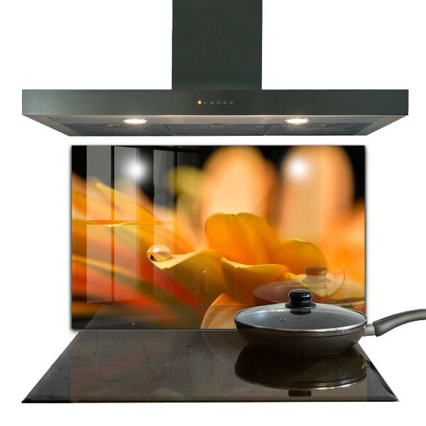 Kitchen wall panels Gerber flower