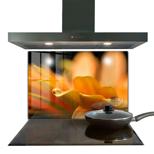 Kitchen wall panels Gerber flower