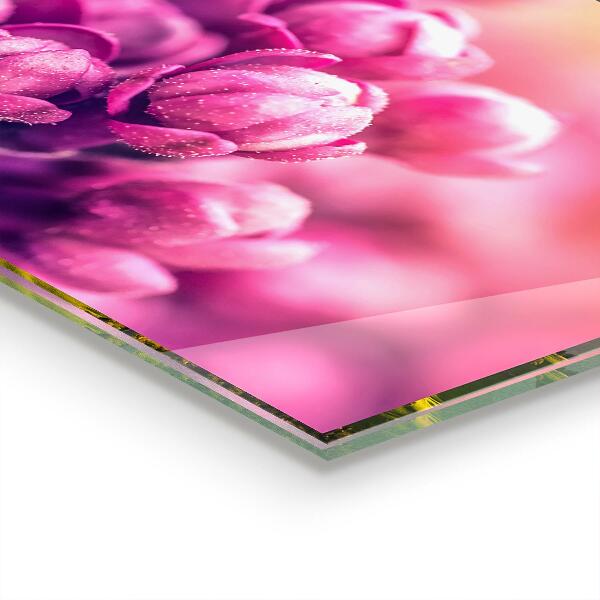 Kitchen wall panels Pink lilies natural beauty