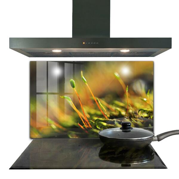 Kitchen wall panels Forest moss details