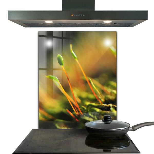 Kitchen wall panels Forest moss details