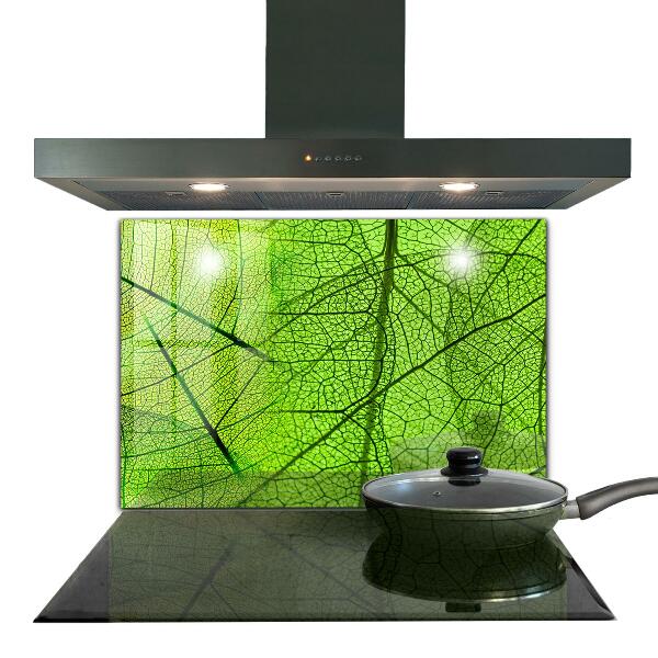 Kitchen splashback Green leaf texture