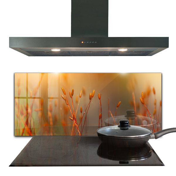 Kitchen splashback Grain field at sunset