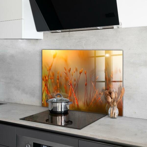 Kitchen splashback Grain field at sunset