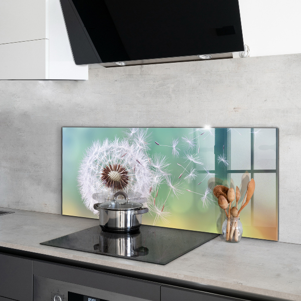 Kitchen splashback Dandelion dandelion in the wind