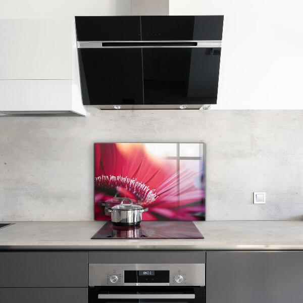 Kitchen splashback Pink flower nature details