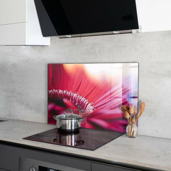 Kitchen splashback Pink flower nature details