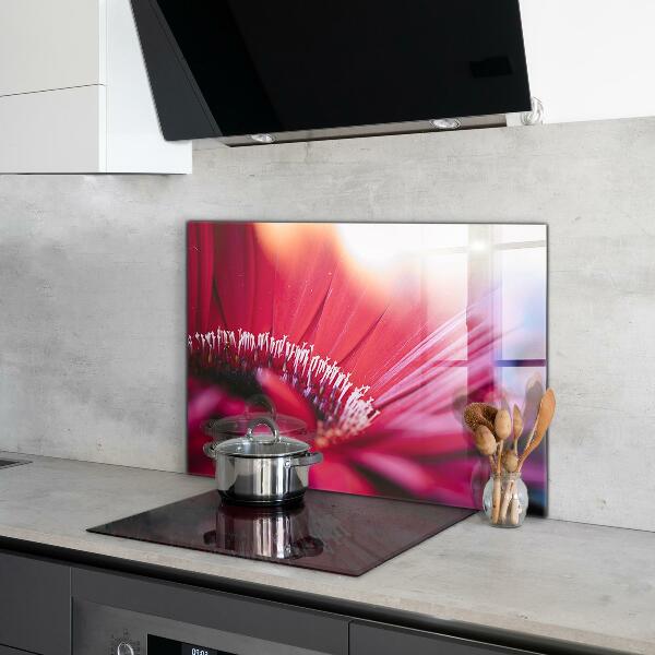 Kitchen splashback Pink flower nature details