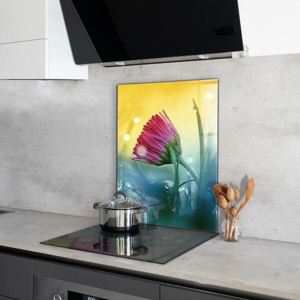 Kitchen splashback Delicate daisy in the meadow