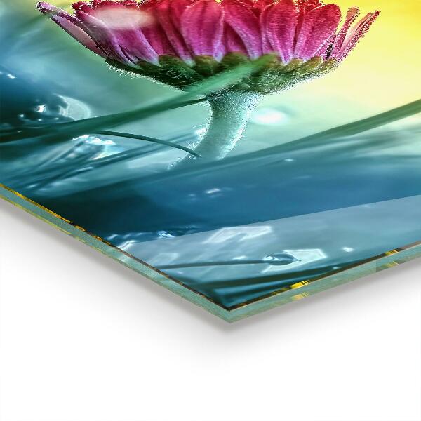 Kitchen splashback Delicate daisy in the meadow