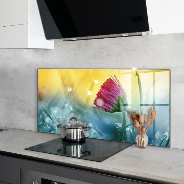 Kitchen splashback Delicate daisy in the meadow