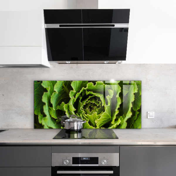 Kitchen splashback Cabbage flower leaves
