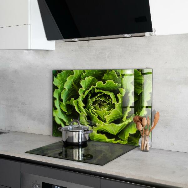 Kitchen splashback Cabbage flower leaves