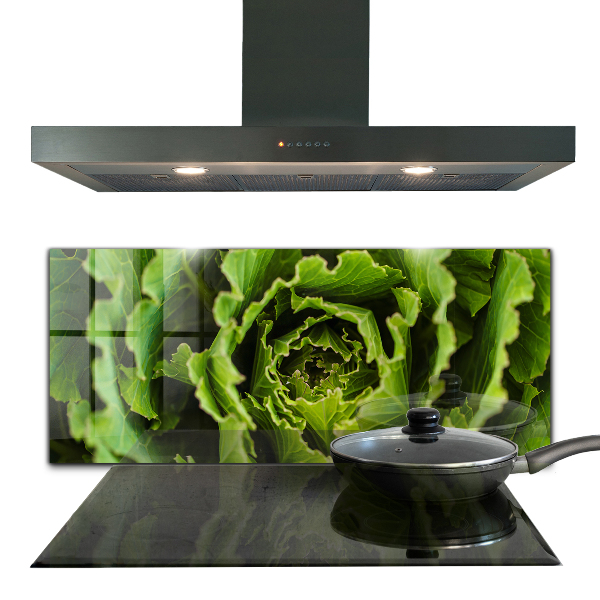 Kitchen splashback Cabbage flower leaves