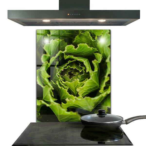 Kitchen splashback Cabbage flower leaves