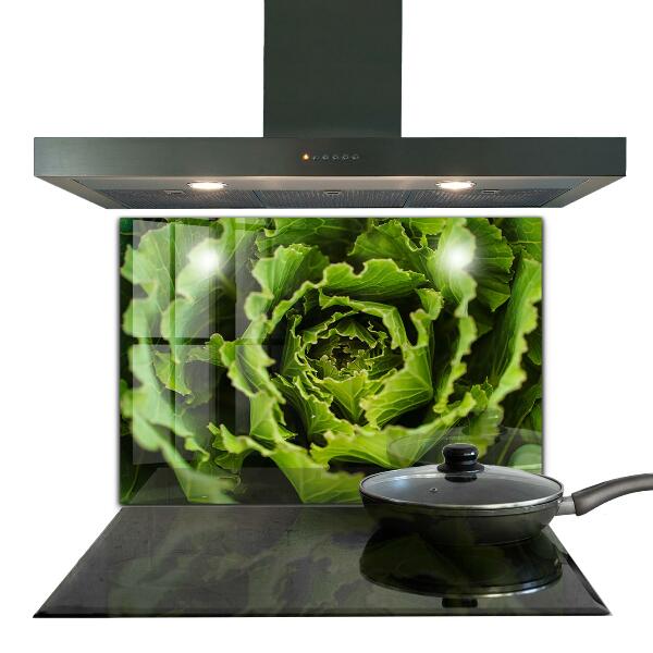Kitchen splashback Cabbage flower leaves