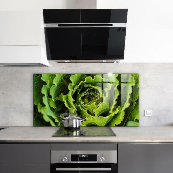 Kitchen splashback Cabbage flower leaves