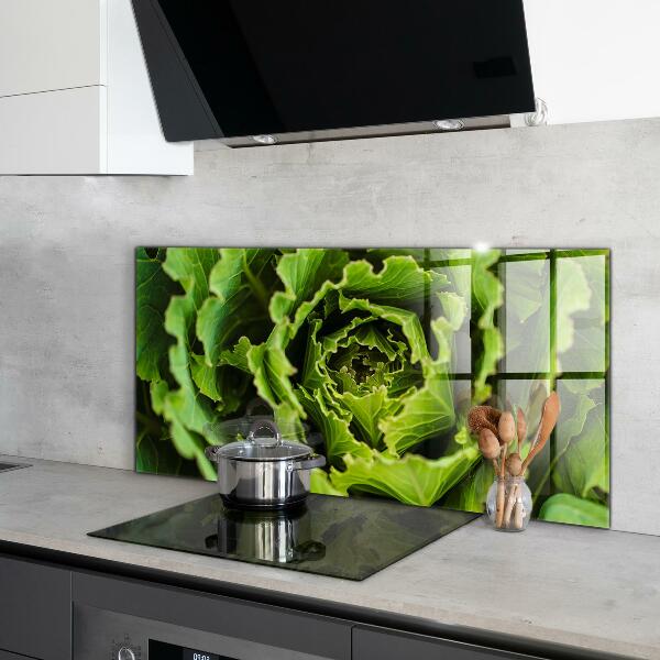 Kitchen splashback Cabbage flower leaves