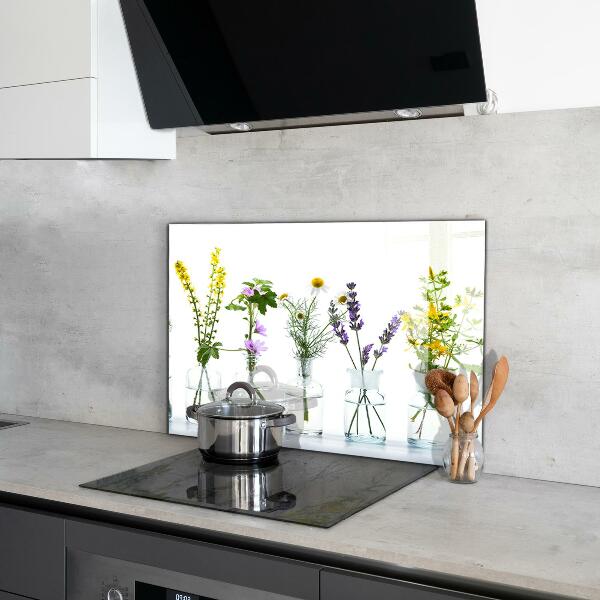 Kitchen splashback Natural herbs health