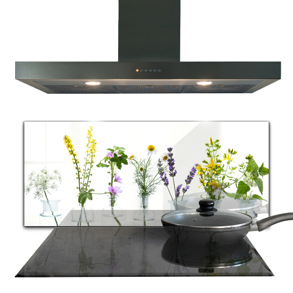 Kitchen splashback Natural herbs health