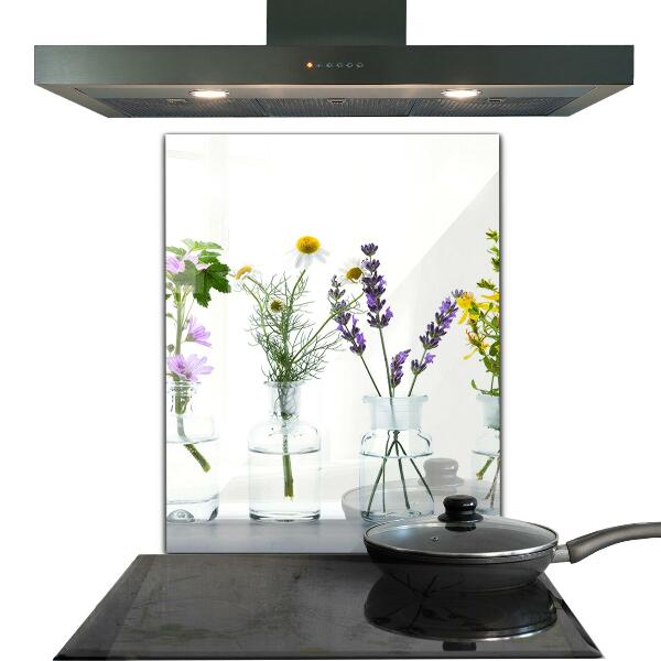 Kitchen splashback Natural herbs health