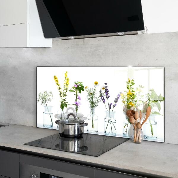 Kitchen splashback Natural herbs health