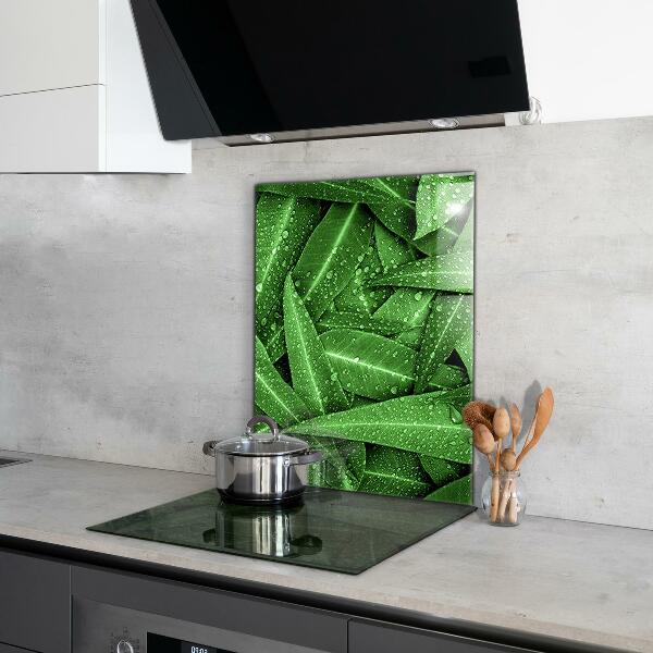 Kitchen splashback Green leaves after rain