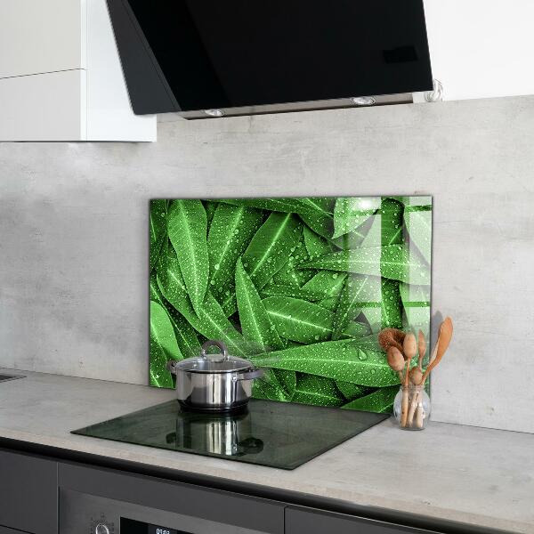 Kitchen splashback Green leaves after rain