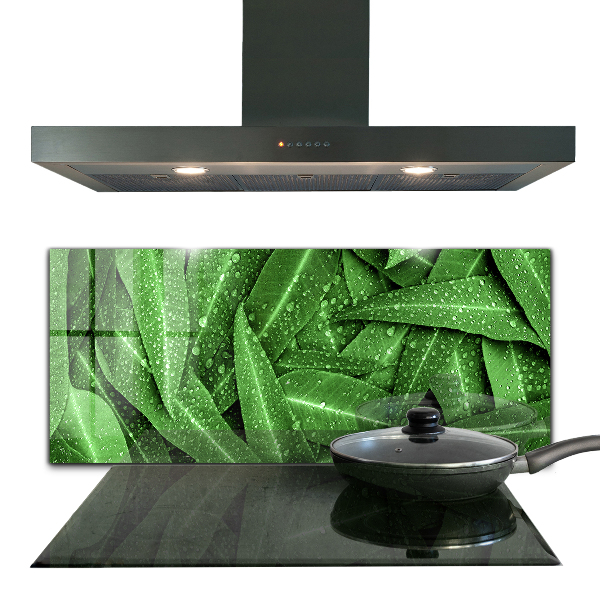 Kitchen splashback Green leaves after rain