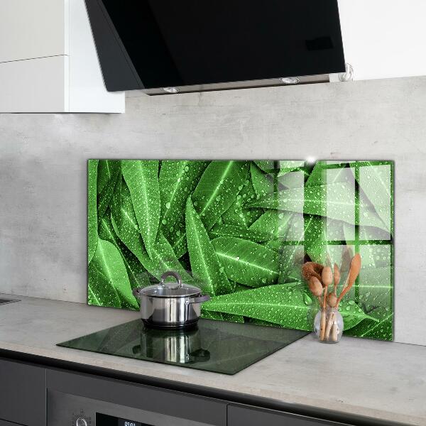 Kitchen splashback Green leaves after rain