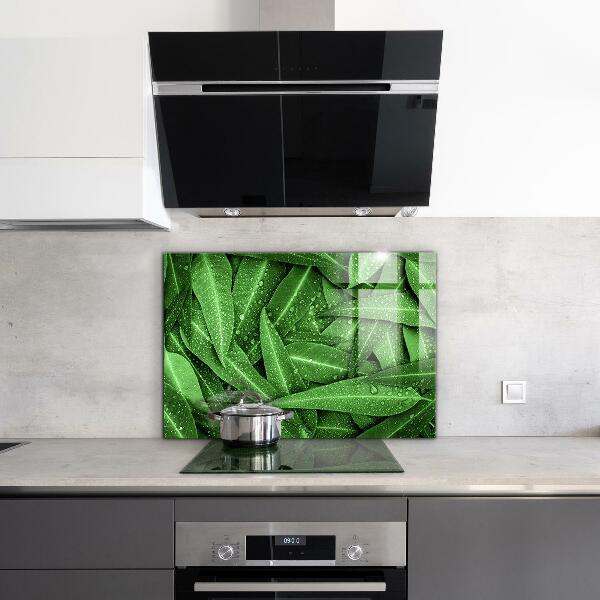 Kitchen splashback Green leaves after rain