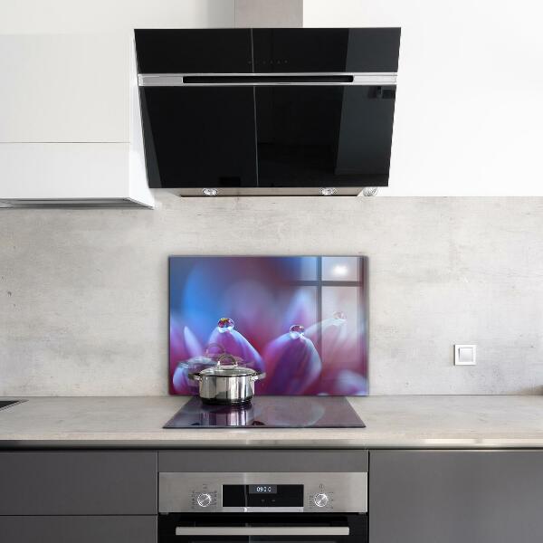 Kitchen splashback Dew drops purple flower