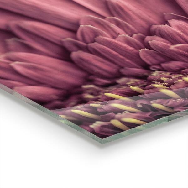 Kitchen splashback Flower margaretka gerbera