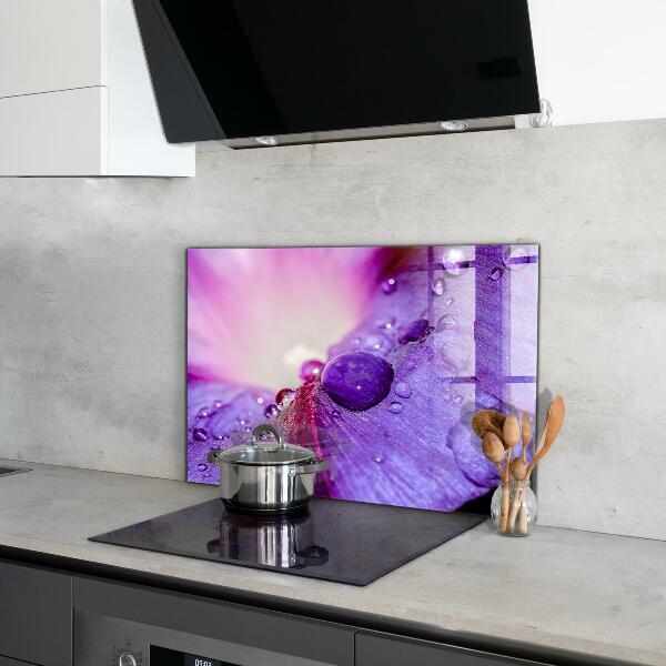 Kitchen splashback Purple flower with morning dew