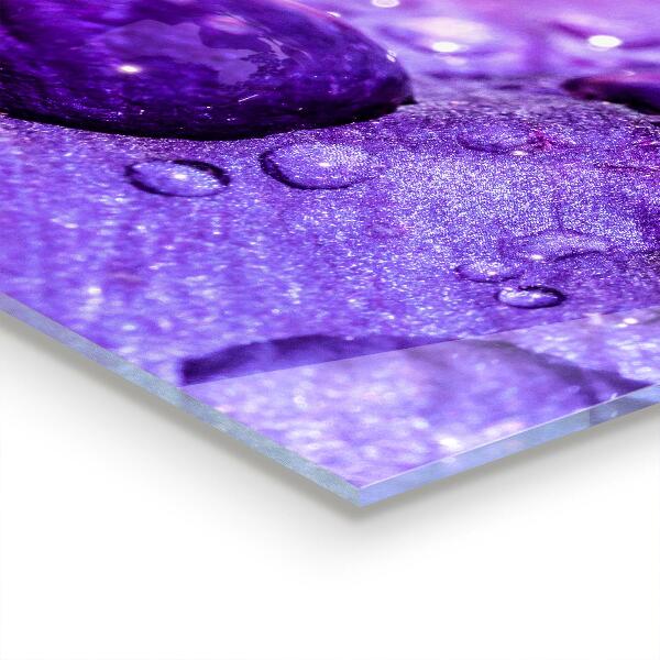 Kitchen splashback Purple flower with morning dew
