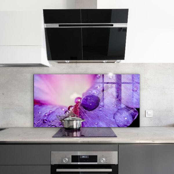 Kitchen splashback Purple flower with morning dew