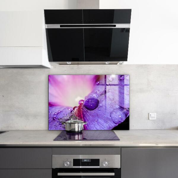 Kitchen splashback Purple flower with morning dew