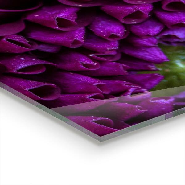 Kitchen splashback Purple flower details