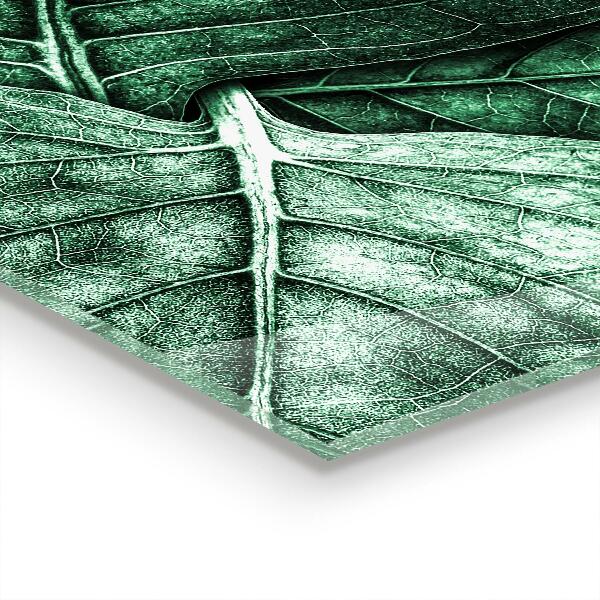 Kitchen splashback Green leaf details