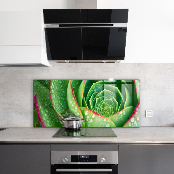 Kitchen splashback Succulent skalnik green garden