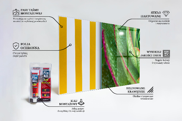 Kitchen splashback Succulent skalnik green garden