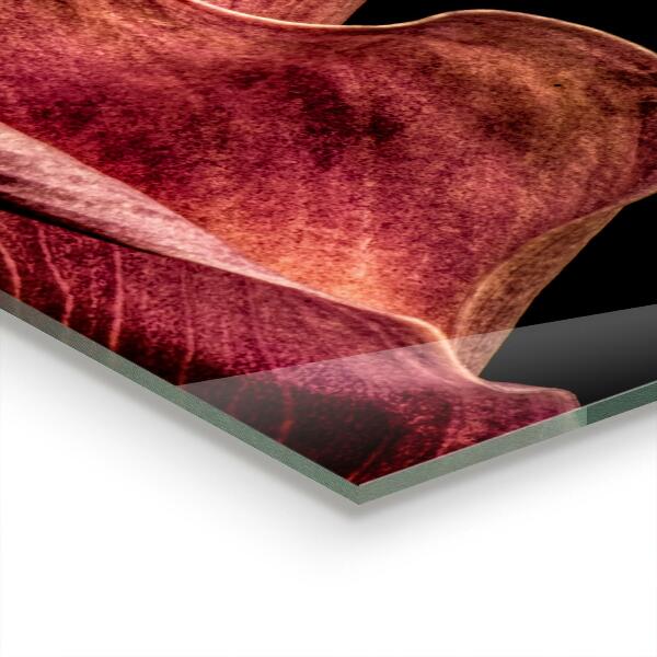 Kitchen splashback Elegant delicate leaf