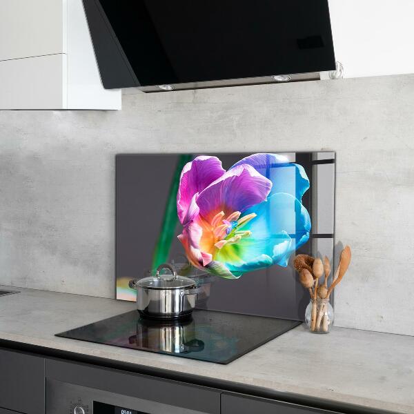 Kitchen splashback Colorful rainbow flower